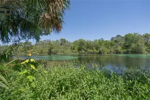 20811 SW 81st Loop, Dunnellon, FL 34431 - Photo 87
