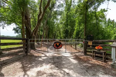 11990 156th Street, Mc Alpin, FL 32062 - Photo 5