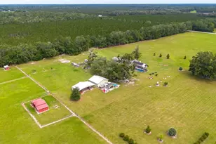 11990 156th St, Mc Alpin, FL 32062 - Photo 89