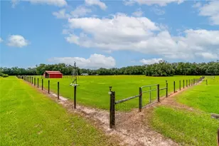 11990 156th St, Mc Alpin, FL 32062 - Photo 87
