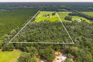 11990 156th St, Mc Alpin, FL 32062 - Photo 99