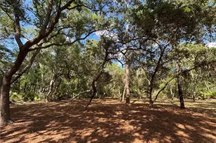 317 NE 172nd Ave, Silver Springs, FL 34488 - Photo 13