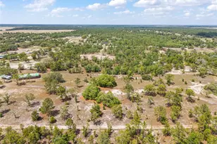 9950 SE 136th Terrace, Dunnellon, FL 34431 - Photo 17