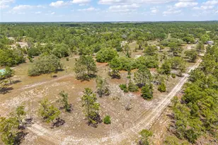 9950 SE 136th Terrace, Dunnellon, FL 34431 - Photo 27