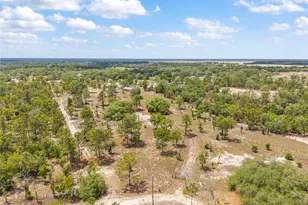 9950 SE 136th Terrace, Dunnellon, FL 34431 - Photo 15