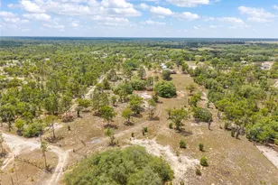 9950 SE 136th Terrace, Dunnellon, FL 34431 - Photo 19