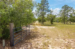 9950 SE 136th Terrace, Dunnellon, FL 34431 - Photo 25