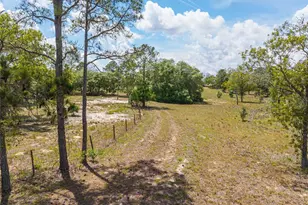 9950 SE 136th Terrace, Dunnellon, FL 34431 - Photo 17