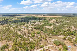 9950 SE 136th Terrace, Dunnellon, FL 34431 - Photo 23