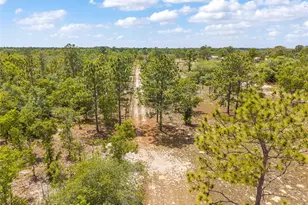 9950 SE 136th Terrace, Dunnellon, FL 34431 - Photo 21
