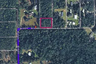 0 NE 157 Pl, Fort Mc Coy, FL 32134 - Photo 1