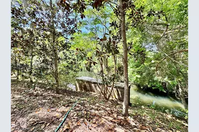 30391 NE 97th Place, Salt Springs, FL 32134 - Photo 9
