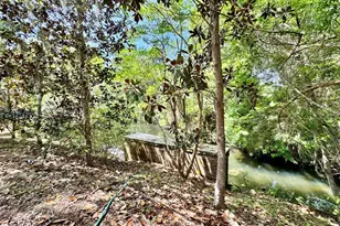 30391 NE 97th Pl, Salt Springs, FL 32134 - Photo 9