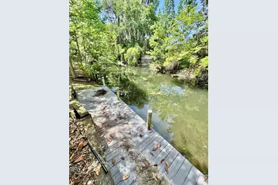 30391 NE 97th Place, Salt Springs, FL 32134 - Photo 5