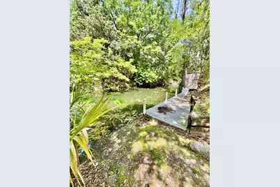 30391 NE 97th Place, Salt Springs, FL 32134 - Photo 7