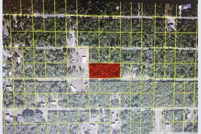Tbd NE Ne 234th Pl, Fort Mc Coy, FL 32134 - Photo 1