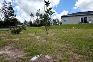 15943 SW 53rd Ct, Ocala, FL 34473 - Photo 19