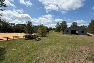 4251 NE 136th Ave, Williston, FL 32696 - Photo 19