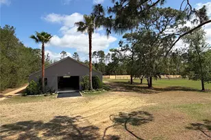 4251 NE 136th Ave, Williston, FL 32696 - Photo 3