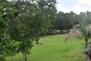 5081 Delacroix Dr, Brooksville, FL 34604 - Photo 9