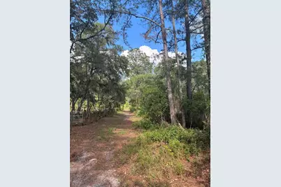16464 NE 35 Road, Citra, FL 32113 - Photo 3