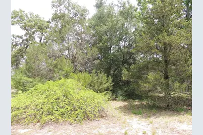 11351 SE 32nd Place, Morriston, FL 32668 - Photo 9