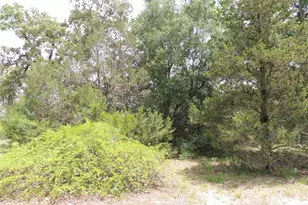 11351 SE 32 Pl, Morriston, FL 32668 - Photo 9