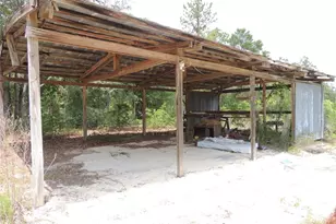 11351 SE 32 Pl, Morriston, FL 32668 - Photo 13