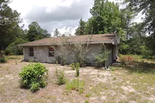 11351 SE 32 Pl, Morriston, FL 32668 - Photo 3