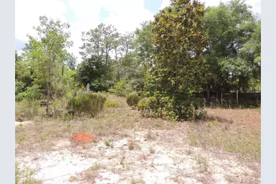 11351 SE 32nd Place, Morriston, FL 32668 - Photo 11