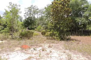 11351 SE 32 Pl, Morriston, FL 32668 - Photo 11
