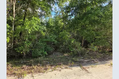 9070 NE 76th Street, Bronson, FL 32621 - Photo 3
