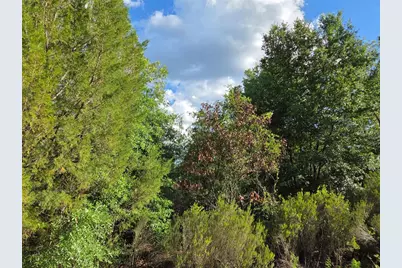 9070 NE 76th Street, Bronson, FL 32621 - Photo 5