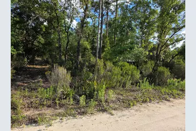 9070 NE 76th Street, Bronson, FL 32621 - Photo 7