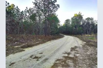 Tbd SW 127th Avenue Road, Ocala, FL 34481 - Photo 7