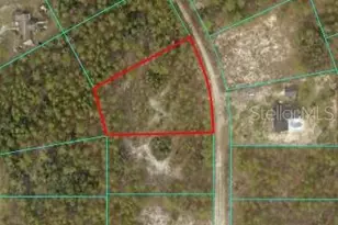Tbd SW 127th Ave Rd, Ocala, FL 34481 - Photo 1