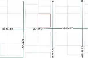SE 45th Ave, Summerfield, FL 34491 - Photo 1