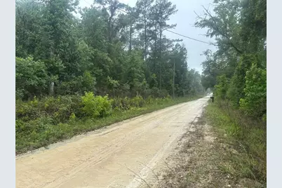 0000 SW 7th Lane, Ocala, FL 34481 - Photo 3