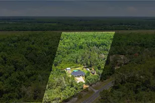 495 Fisher Rd, Ocklawaha, FL 32179 - Photo 43