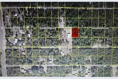 Tbd NE 234th Lane, Fort Mc Coy, FL 32134 - Photo 1