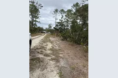 0 NE 144 Court, Fort Mc Coy, FL 32134 - Photo 5