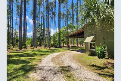 681 S County Road 315, Interlachen, FL 32148 - Photo 7