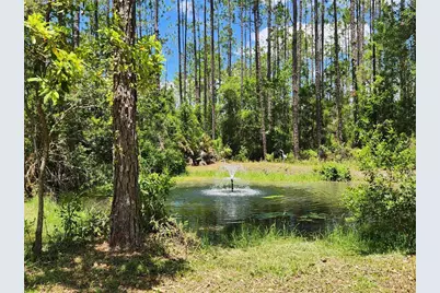 681 S County Road 315, Interlachen, FL 32148 - Photo 15