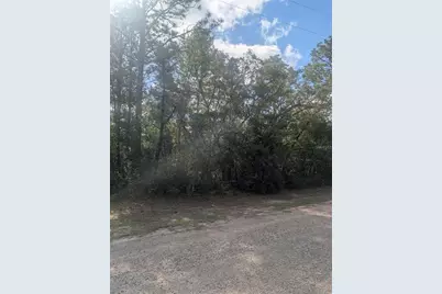 8791 N Folland Drive, Dunnellon, FL 34433 - Photo 1