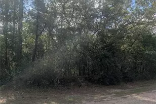 8791 N Folland Dr, Dunnellon, FL 34433 - Photo 1