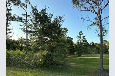 Reynolds Parkway, Orlando, FL 32833 - Photo 5
