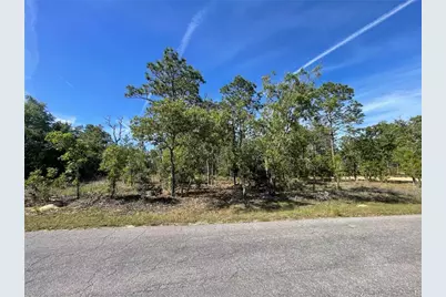 Ne 7th Place, Williston, FL 32696 - Photo 5