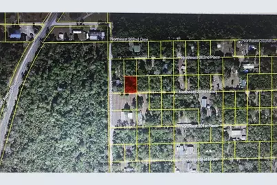 Tbd NE 201st Lane, Fort Mc Coy, FL 32134 - Photo 1