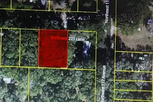 Tbd NE 223rd Ln, Fort Mc Coy, FL 32134 - Photo 1
