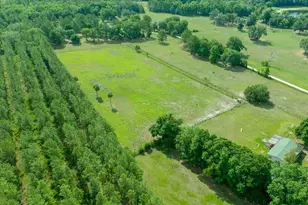 18585 N Hwy 329, Reddick, FL 32686 - Photo 13